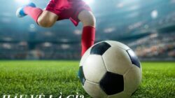 Cầu thủ dự bị là gì? Khám phá vai trò chi tiết trên sân đấu